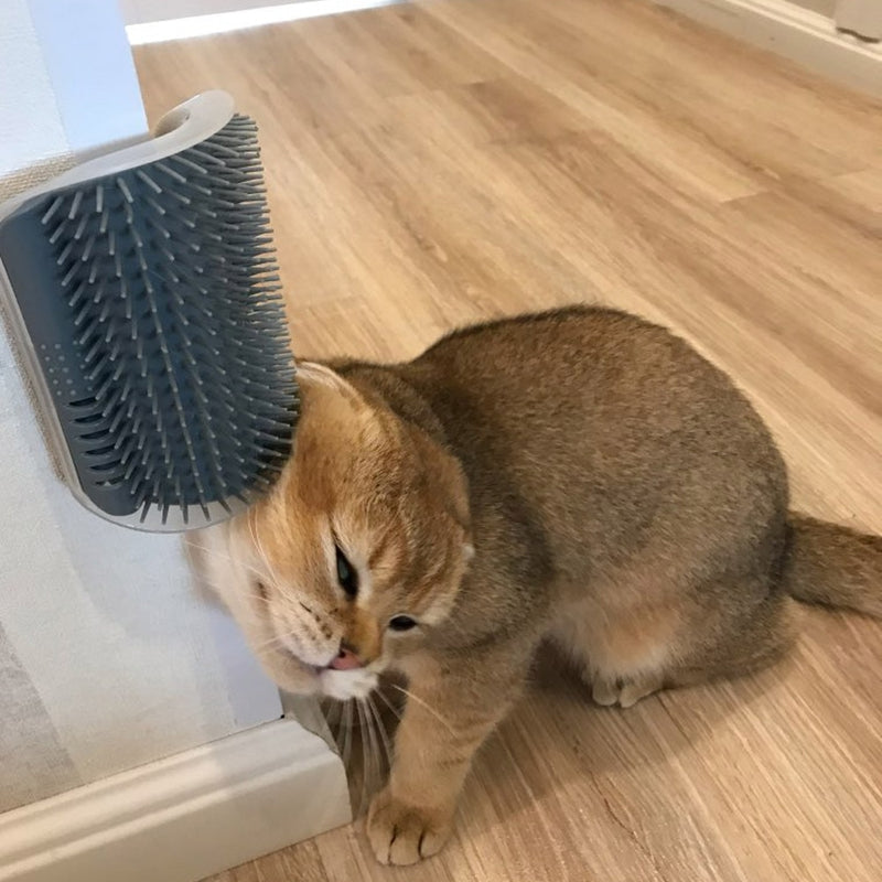 Escova de Canto para Gatos