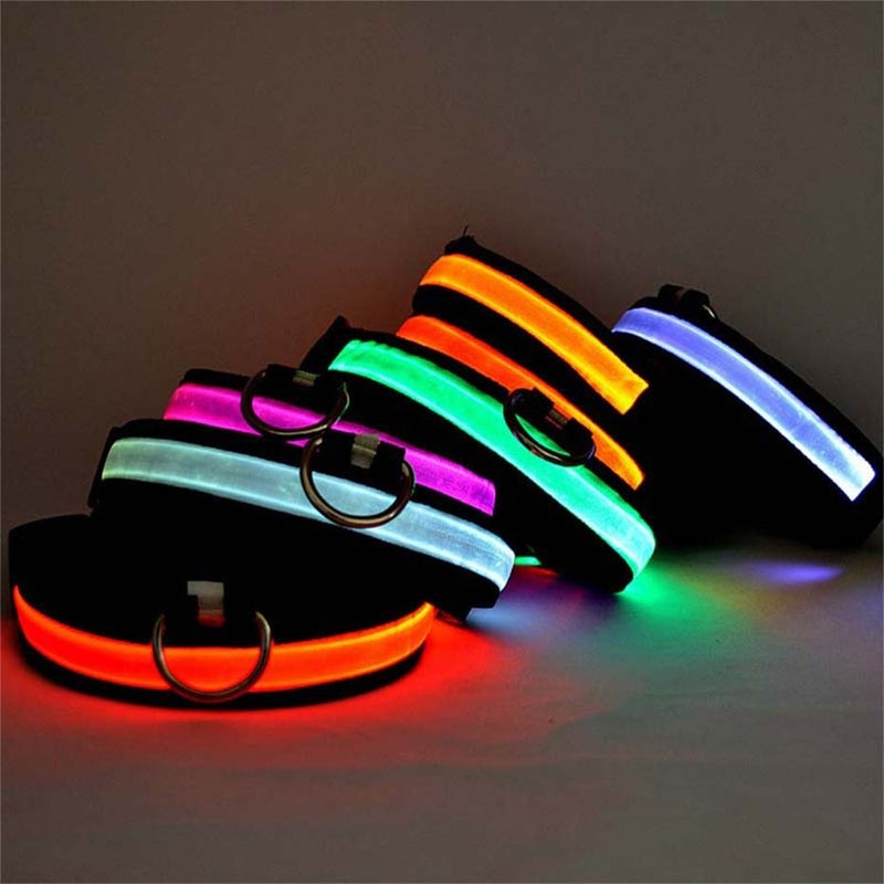 Coleira Luminosa Pet LED